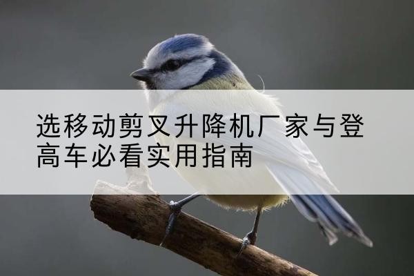 安顺电动升降机厂家-选移动剪叉升降机厂家与登高车必看实用指南