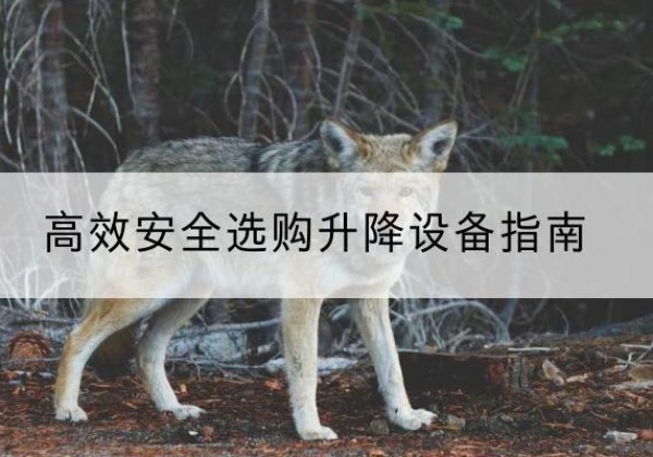 安顺升降货梯厂家推荐-*安全选购升降设备指南