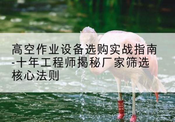 安顺剪叉式升降机厂家-高空作业设备选购实战指南-十年工程师揭秘厂家筛选核心法则